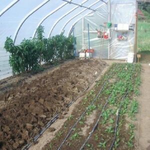 Hoophouse Bed Prep for Fall Plantings Image
